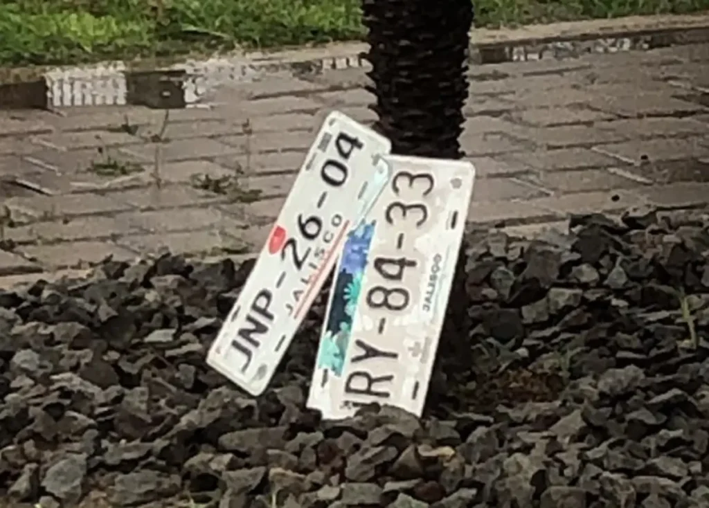 placa